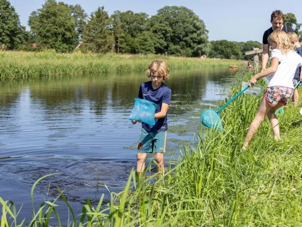 Activities in the Slinge at Roan camping De Twee Bruggen.