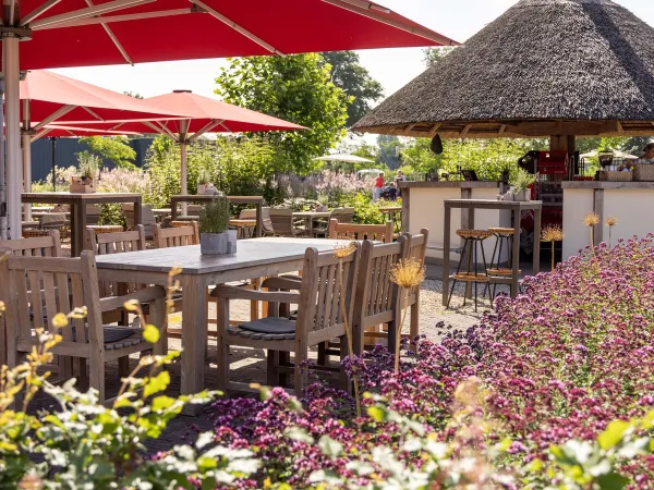 Outdoor bar with terrace at Roan camping De Twee Bruggen.