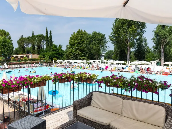 Bar terrace overlooking the pool at Roan camping hu Altomincio village.
