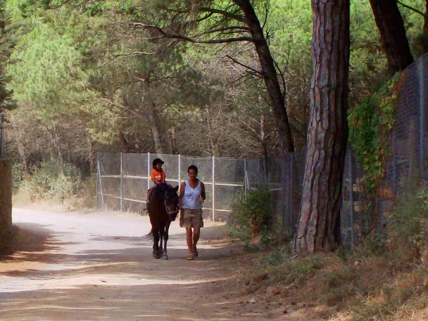 Horseback riding near Roan camping Playa Brava.