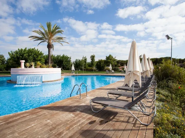 Sun loungers by the pool at Roan Camping El Pinar.