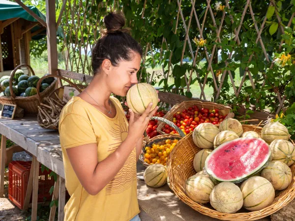 Fresh fruit at Roan camping hu Park Albatros village.