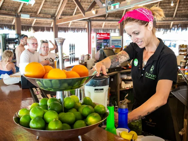 Fresh smoothie at Roan camping Park Albatros.