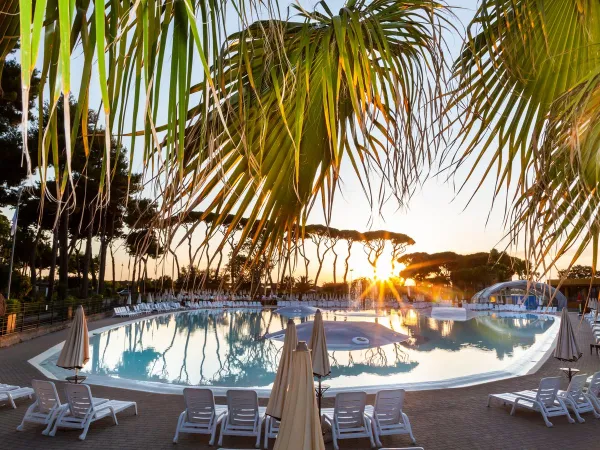 Evening sun over the pool at Roan camping Park Albatros.