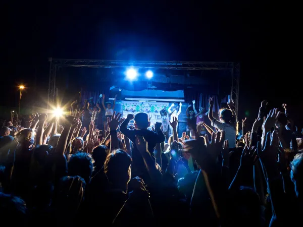 Disco night at Roan camping hu Park Albatros village.