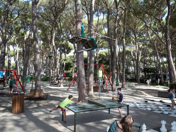 Games and tree climbing course at Roan camping Park Albatros.