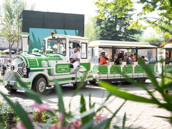 Camping train drives guests across the Roan camping hu Altomincio village.