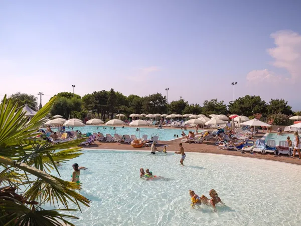 Overview pool of Roan camping Delle Rose.