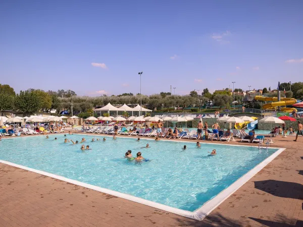 Overview lively swimming pool at Roan camping Delle Rose.