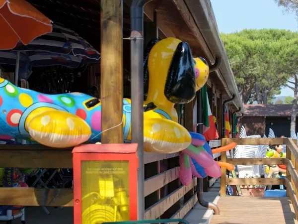 pool children's equipment at camping Orbetello.