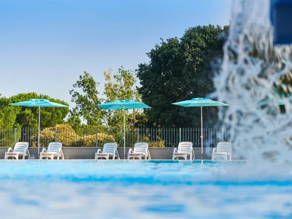 Sunbeds by the pool at Roan camping Park Umag.