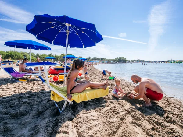 Beach with sunbeds and umbrellas at Roan camping Zaton Holiday resort.