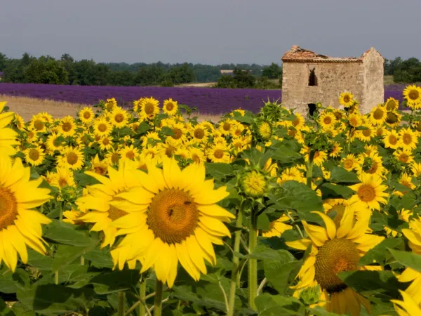 Atmosphere image surroundings of Provence.