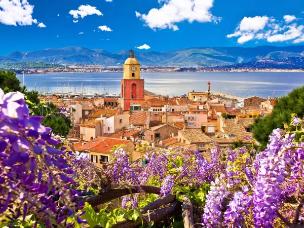 The town of Saint-Tropez near Roan camping Domaine Naïades.