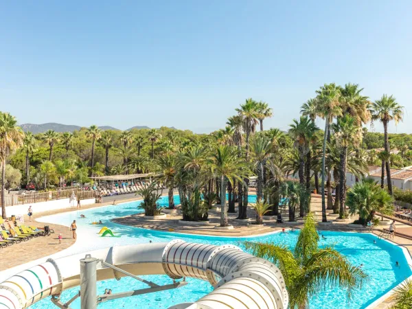 Beautiful swimming pool with palm trees at Roan camping La Baume.