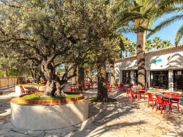 Terrace and bar at Roan camping La Baume.