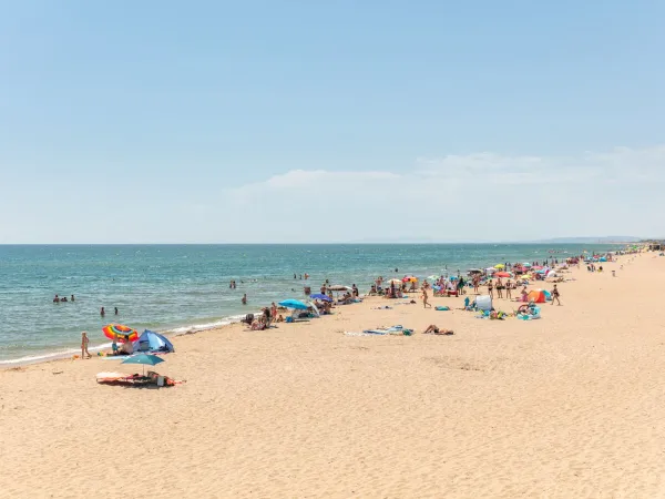 Lively sandy beach at Roan camping Méditerranée Plage.