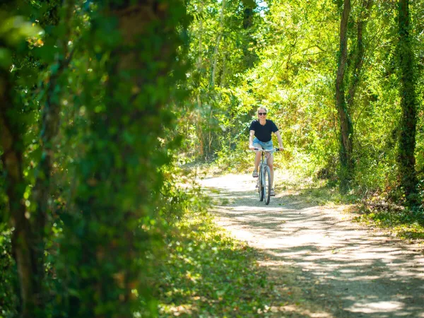Cycling route near Roan camping du Latois.