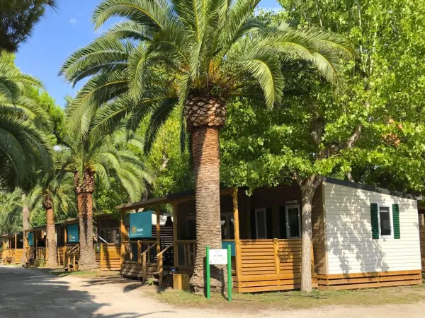 Street with palm trees between the Roan mobile homes at Roan camping Playa Montroig.