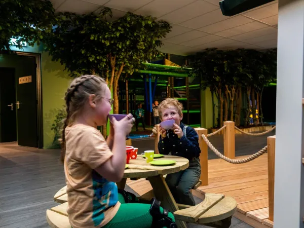 The indoor play forest at Roan camping De Schatberg.