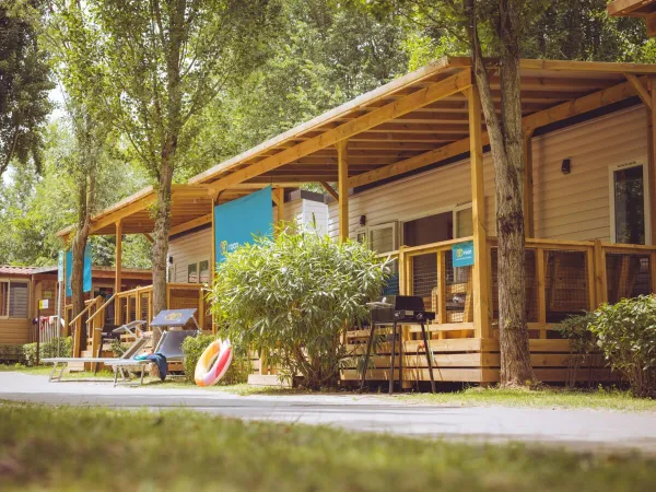 Premium Lounge accommodation at Roan camping hu Altomincio village.