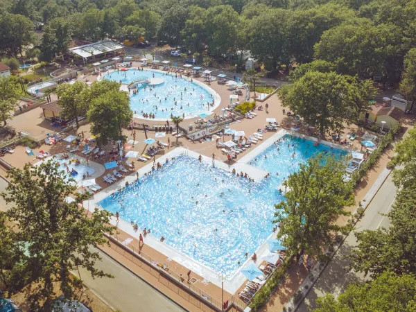 Overview of the swimming pool at Roan camping Bijela Uvala.