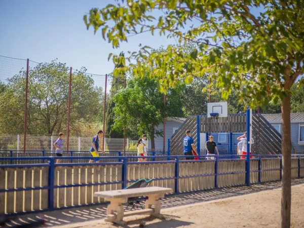 Basketball court at Roan camping La Sardane.