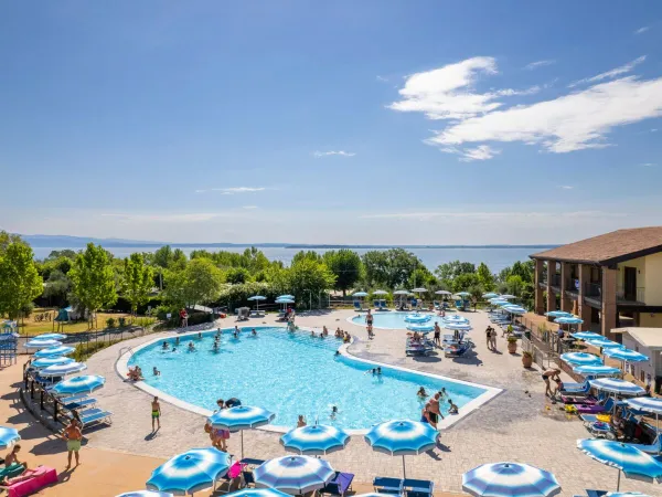 Swimming pool at Roan camping Piantelle.