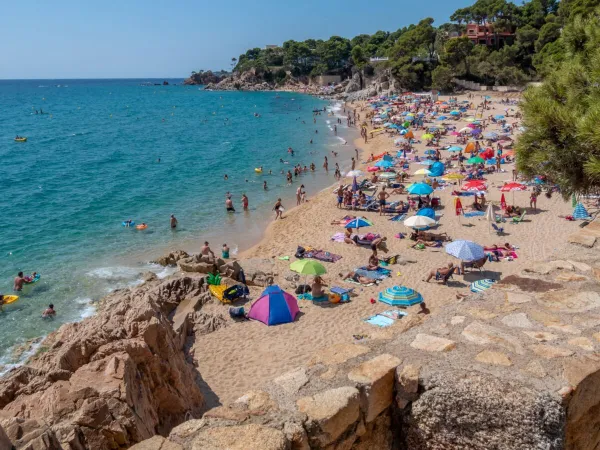 Sandy beach at Roan camping Internacional de Calonge.