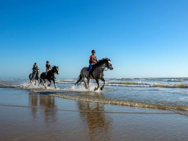 Horseback riding near Roan camping Atlantic Montalivet.