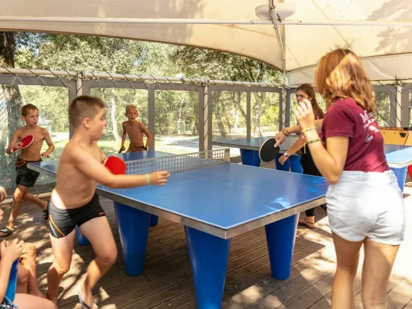 Table tennis at Roan camping Domaine Massereau.