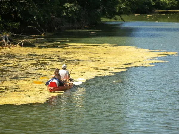 Canoeing near Roan camping Domaine Massereau.