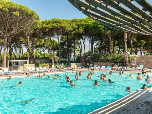 The swimming pool at Roan camping Le Castellas.