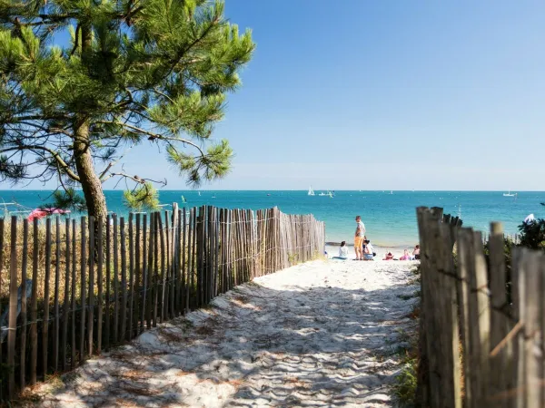 Walking trail to the sandy beach at Roan camping Grande Métairie.