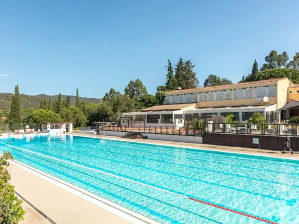 Olympic-size pool at Roan camping Domaine des Naïades.