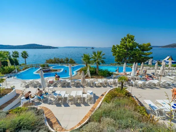 Swimming pool and sunbeds overlooking the sea at Roan campsite Amadria Park Trogir.