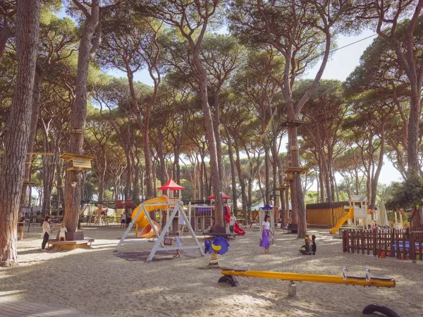 Playground and tree-climbing course at Roan camping hu Park Albatros village.