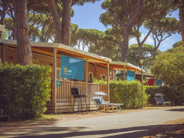Street with Premium Lounge 2 bedroom mobile homes at Roan camping hu Park Albatros village.