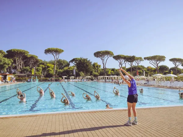 Entertainment in the pool at Roan camping hu Park Albatros village.