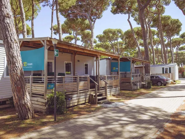 Premium Lounge 3 bedroom mobile homes at Roan camping hu Park Albatros village.