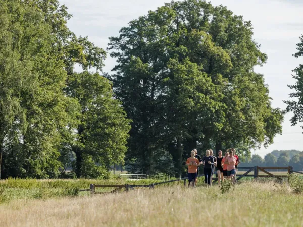 People playing sport in the great outdoors at Roan campsite De Twee Bruggen.