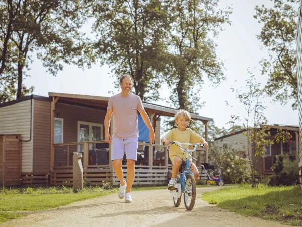 Free Roan children's bikes for children up to age 6.