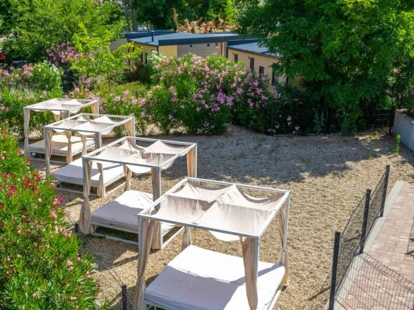 Lounge beds at Roan camping Baška Beach Resort