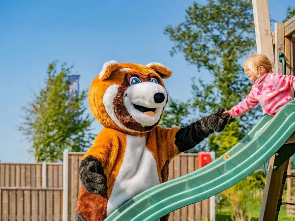 Mascot Homy at Roan campsite Marvilla Parks Friese Meren.
