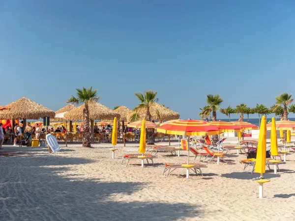 Beach at Roan camping Spiaggia e Mare.