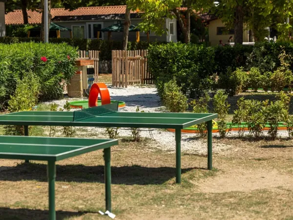 Table tennis at Roan camping hu I Pini village.