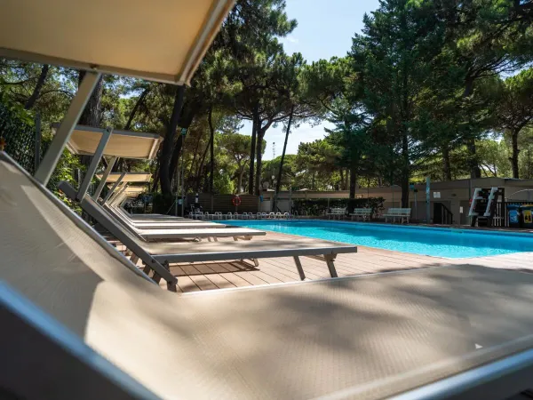 Luxury sun loungers by the pool with sun and shade at Roan campsite Sole Family Camping Village.