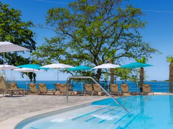 Luxury sunbeds overlooking the sea at Roan campsite Bijela Uvala.