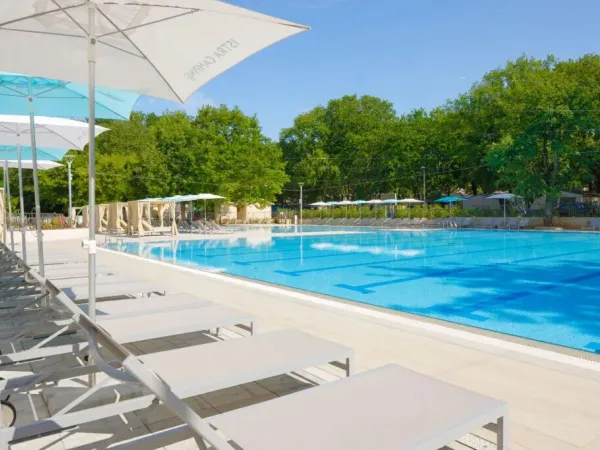 Olympic-size pool with sun beds at Roan campsite Bijela Uvala.