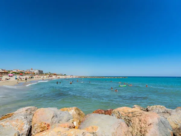 The beach at Saint-Cyprien 800 metres from Roan camping Le Soleil de la Méditerranée.